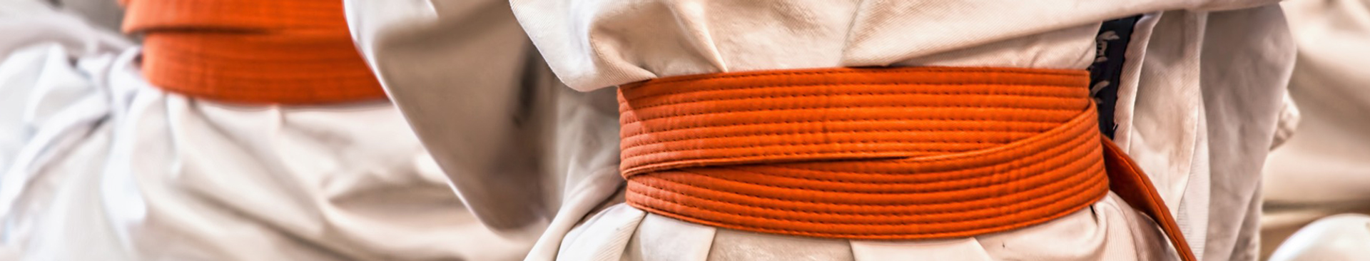 HISTORIA DEL TAEKWONDO EN EL MUNDO