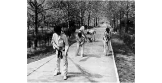 HISTORIA DEL TAEKWONDO EN EL MUNDO