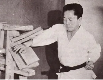 HISTORIA DEL TAEKWONDO EN EL MUNDO